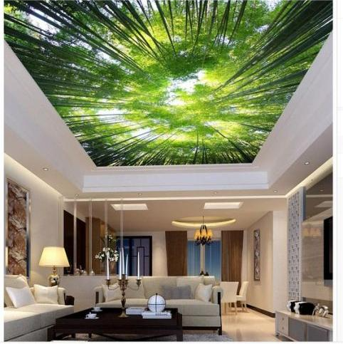 LED Sky Light 3